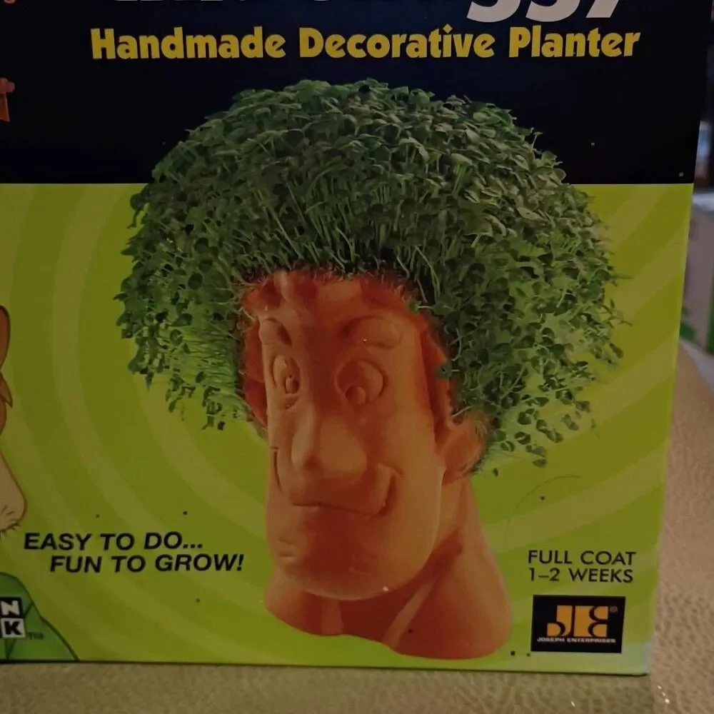 NWT Cartoon Network Scooby Doo Chia Shaggy